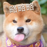 薛定谔的喵