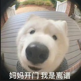 瑞杯咔