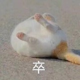 xinxin