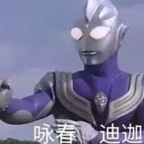 咏春 迪迦