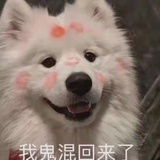 忘了一朵花