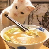 jieyoo_