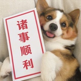 旺旺碎冰冰