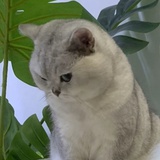 hhhhhhh