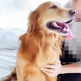 老窝