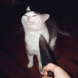 姬凡生