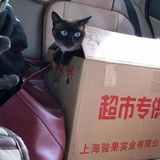 Ssss