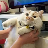 秒器