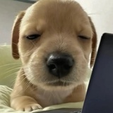 让让我吧