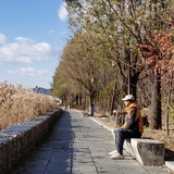静静的顿河