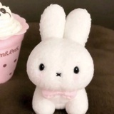 茉莉冷萃
