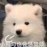 君子坦荡荡