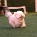 。。