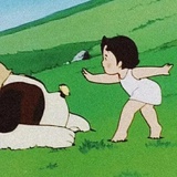 呆毛