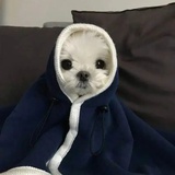 不要讹我