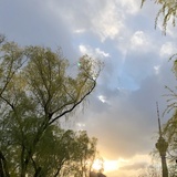 饼干