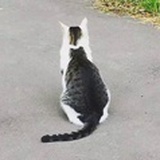 两两