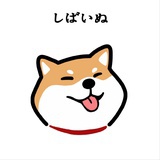 莫小柴
