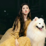 庄进我怀里