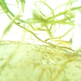 李小小小Lu