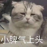 吃不下了