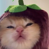 街头炸串王女士