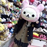 momo来了