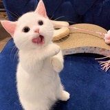 Jeremy