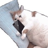 糖醋里脊778