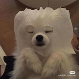 牛奶面包的非凡