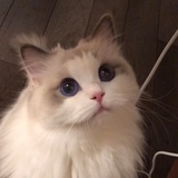 NaNa🍬