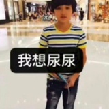 奇米蛋