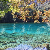 浮游
