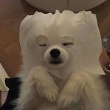 会变好