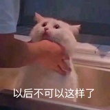 西西红柿