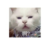 吃瓜群众就是我