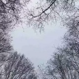 洋基队FM
