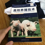 咸鱼仔～