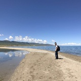 东东董董