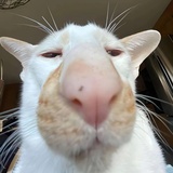 fexxx