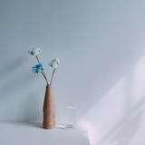 七