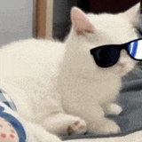 Ye