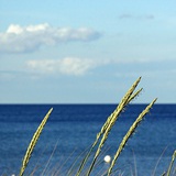 gslanlan