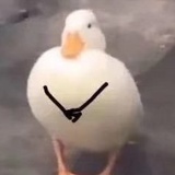 meii