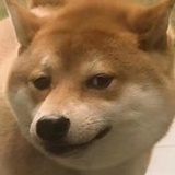 吃不吃包子