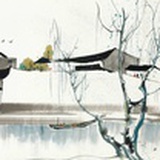 遥望终点