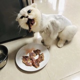 阿刺