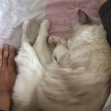 MustbiNow