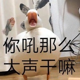 炮手就要谈恋爱