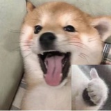 穿风过堂